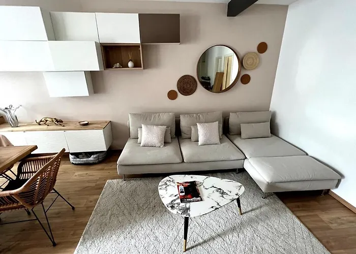 Homestay Belle Cosy, Proche Centre-ville Et Gare Colmar